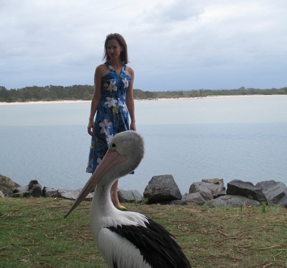 Photobombed by a pelican